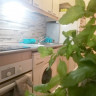 Apartamento en Torrevieja