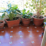 Apartamento en Gandia