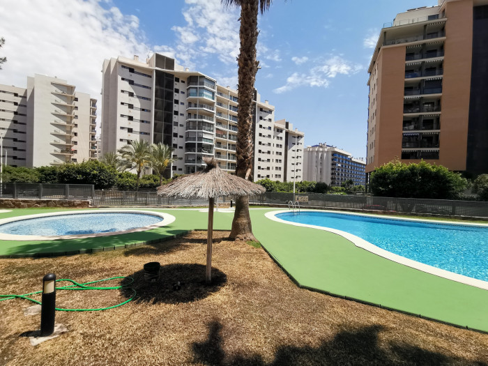  Apartamento en Benidorm