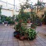 Apartamento en Benidorm