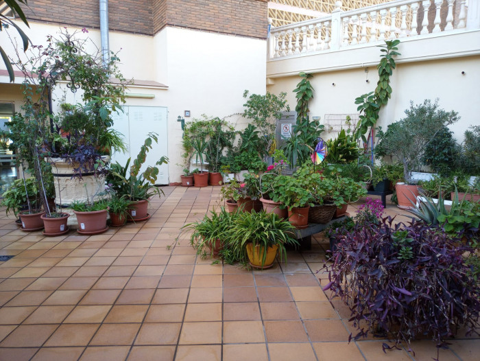 Apartamento en Benidorm
