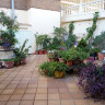Apartamento en Benidorm