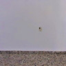 Apartamento en gandia