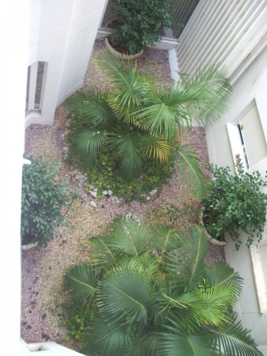 Apartamento en Alicante