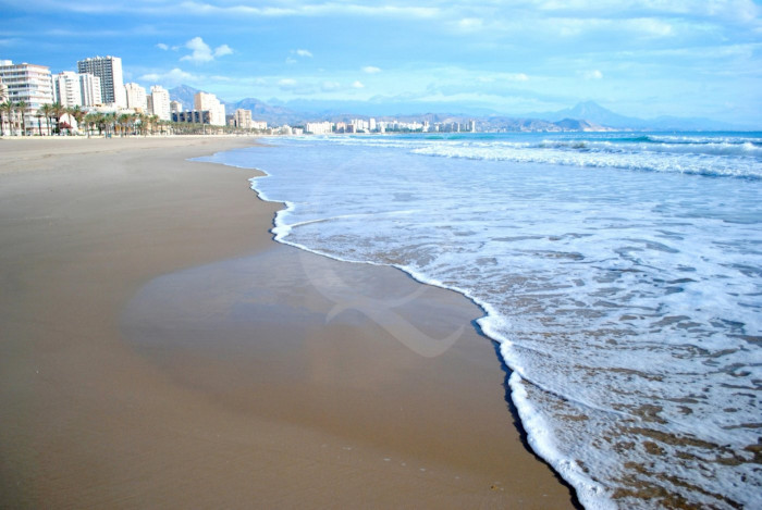 Apartamento en Alicante