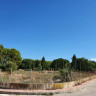 Участок в Denia