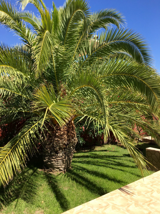 Villa en Benidorm, en la urb. Balcón De Finestrat