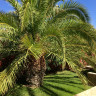 Villa en Benidorm, en la urb. Balcón De Finestrat