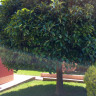 Villa en Benidorm, en la urb. Balcón De Finestrat