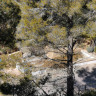 Impresionante finca en Altea la Vella