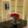 Apartamento en Benidorm
