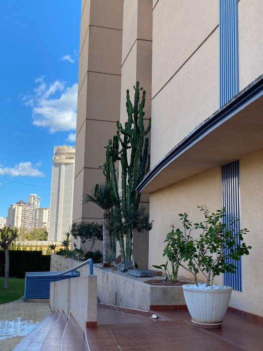 Apartamento en Benidorm
