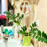 Apartamento en Cala de Villajoyosa