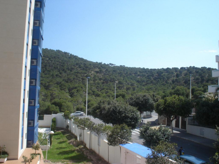 Apartamento en Benidorm