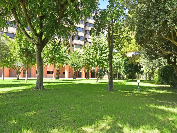 Apartamento en Benidorm