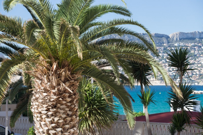 Apartamento en Calpe