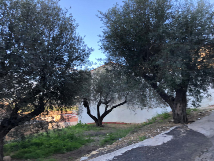 Casa cerca de Ador, Gandia