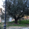 Casa cerca de Ador, Gandia