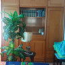 Apartamento en alicante